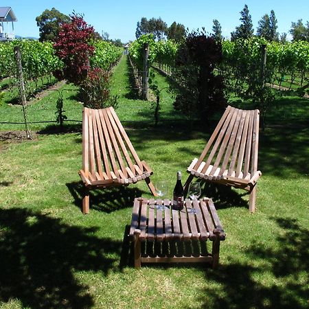 Villa In The Vines Martinborough Kültér fotó