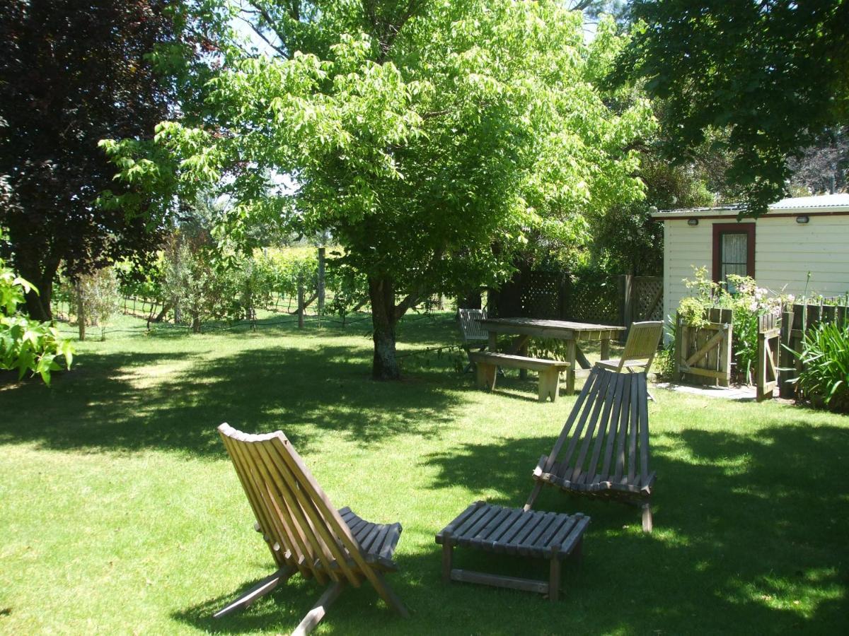 Villa In The Vines Martinborough Kültér fotó