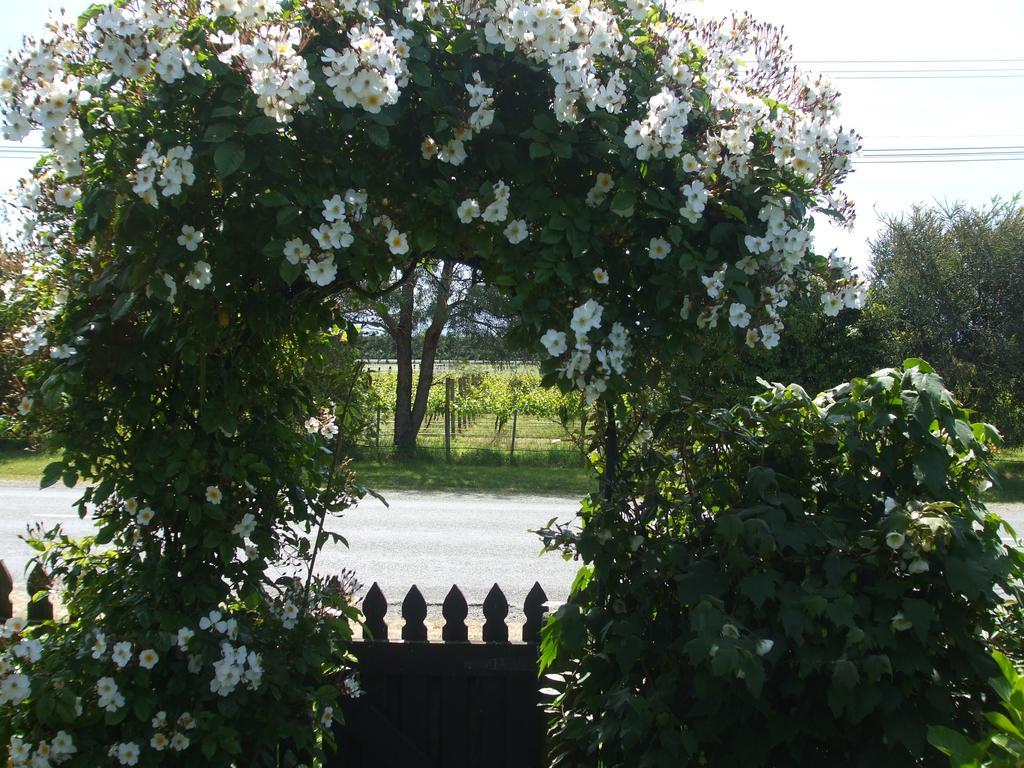 Villa In The Vines Martinborough Kültér fotó