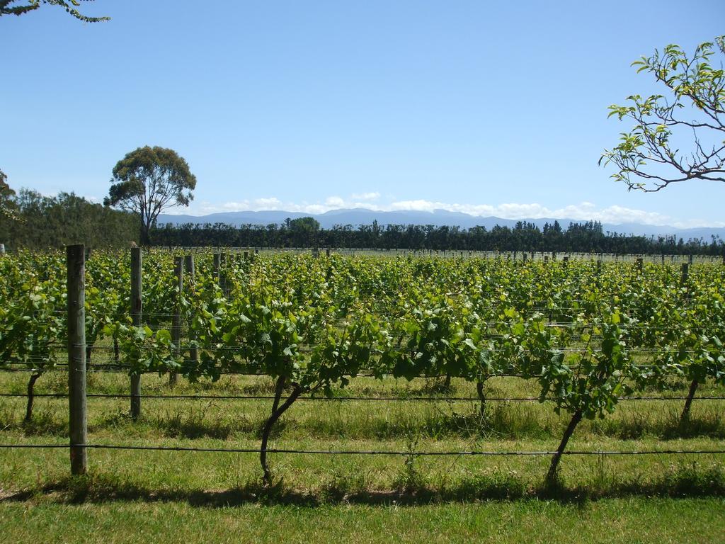 Villa In The Vines Martinborough Kültér fotó