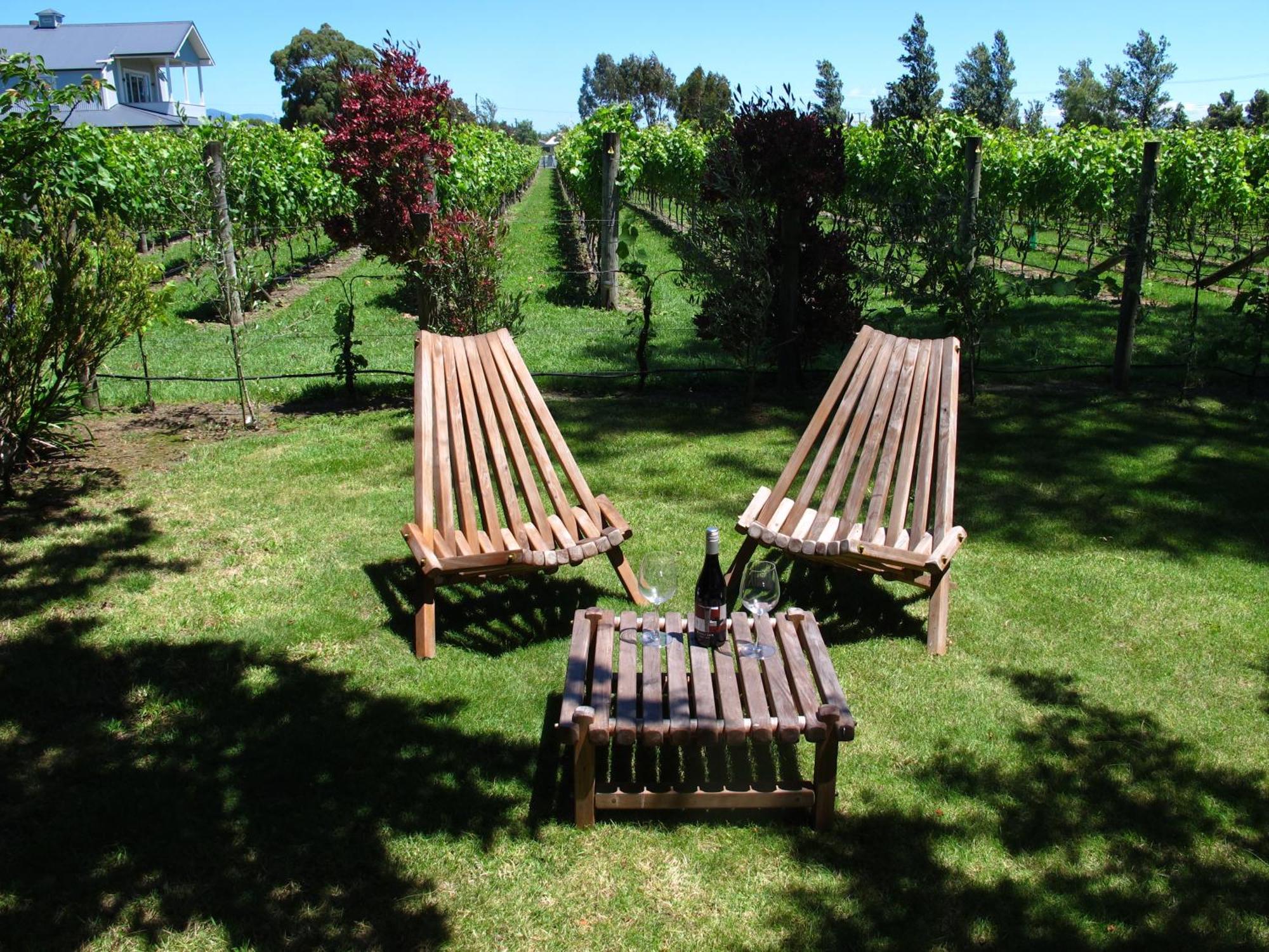 Villa In The Vines Martinborough Kültér fotó